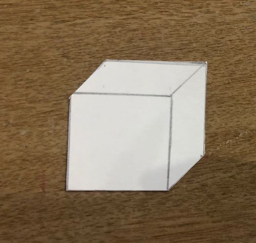 先在白卡纸上按照昨天的方法画一个面朝前的正方体,并剪下来.