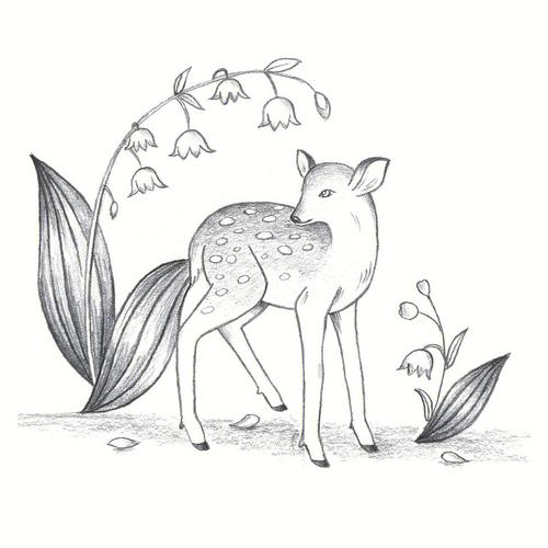 森林里的梅花鹿铅笔素描教程呆萌小动物