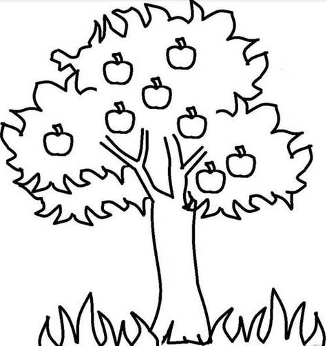 秋天的果树简笔画图片秋天水果蔬菜的简笔画分享展示秋天的果树儿童简