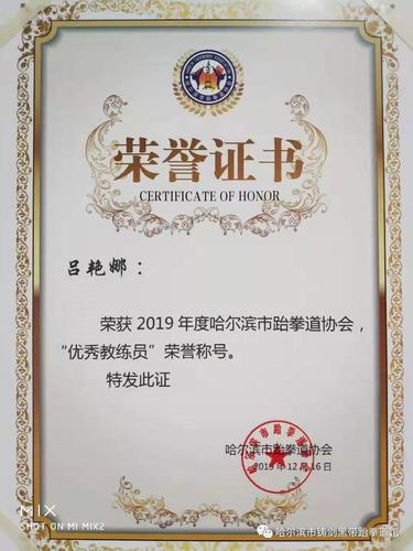 铸剑黑带跆拳道馆2019年哈尔滨跆拳道协会年度表彰大会获殊荣