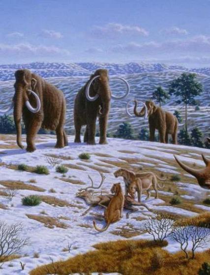 在地球生物的进化史上,曾经出现过许多具有重要意义的著名物种