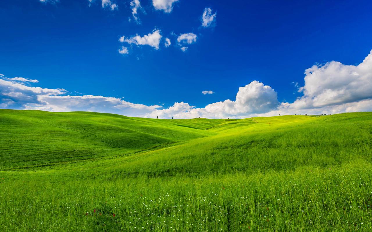 蓝天白云下的草原高清电脑壁纸 第一辑