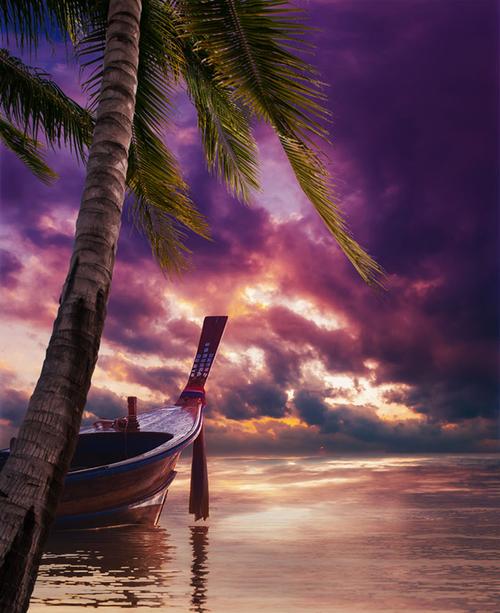 黄昏下的椰树木船景色高清摄影图片 - 素材中国16素材网