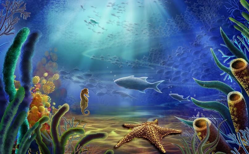 奇幻美丽神秘的海底世界高清图片电脑桌面壁纸 第一辑