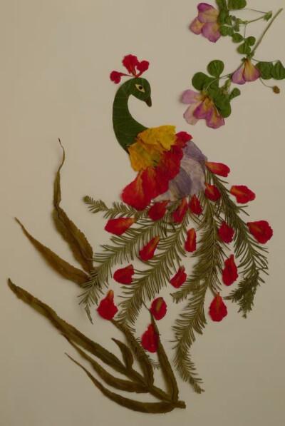评论  西雅图植物艺术家 bridget beth collins 用花瓣,树枝,树叶