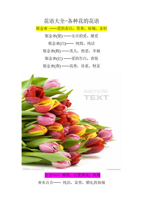 花语大全-各种花的花语 郁金香 ——爱的表白,荣誉,祝福,永恒 郁金香