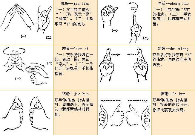 手语(词汇)手语(c)是用手势比量动作,根据手势的变化模拟形象或者音节