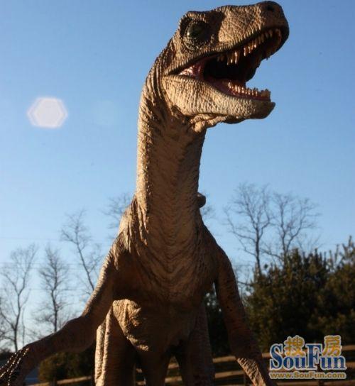 万人看百合 4月12日起百合花园带您领略恐龙的震撼