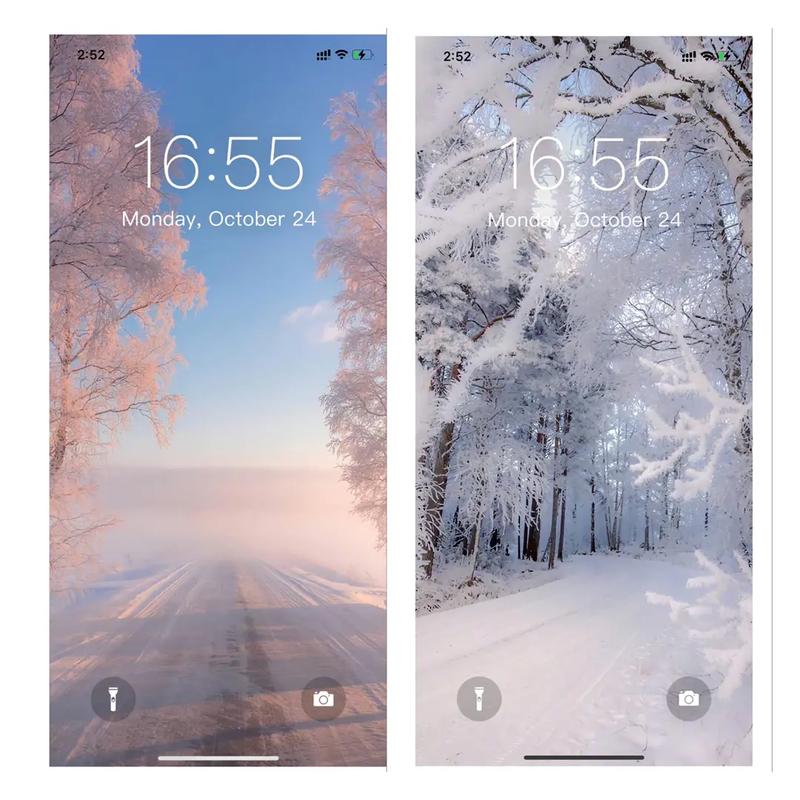 iphone壁纸 #雪景 #送你一张壁纸  2021年的最 - 抖音