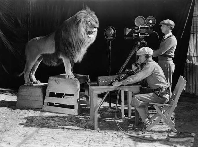 1916年,好莱坞时代开始,mgm(米高梅)片头的狮子logo,是拿活