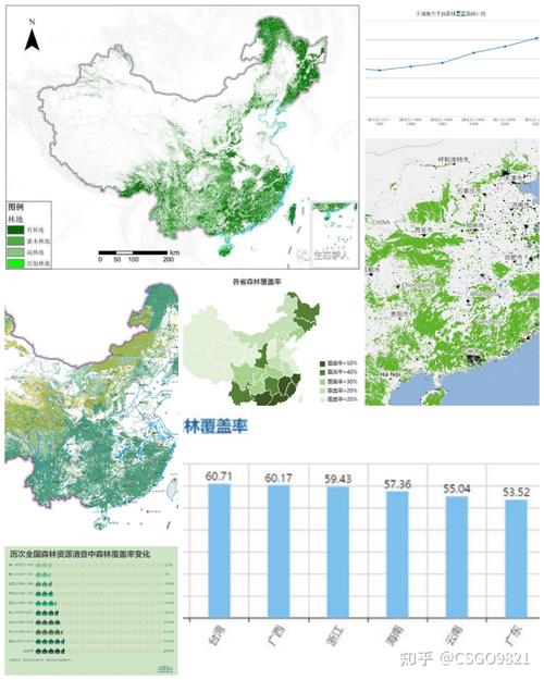 中国的森林覆盖率历年变化