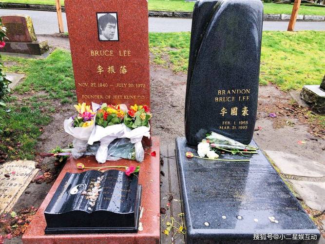 李小龙之子李国豪因说错话被陈惠敏怒扇耳光在片场离奇死亡终年28岁