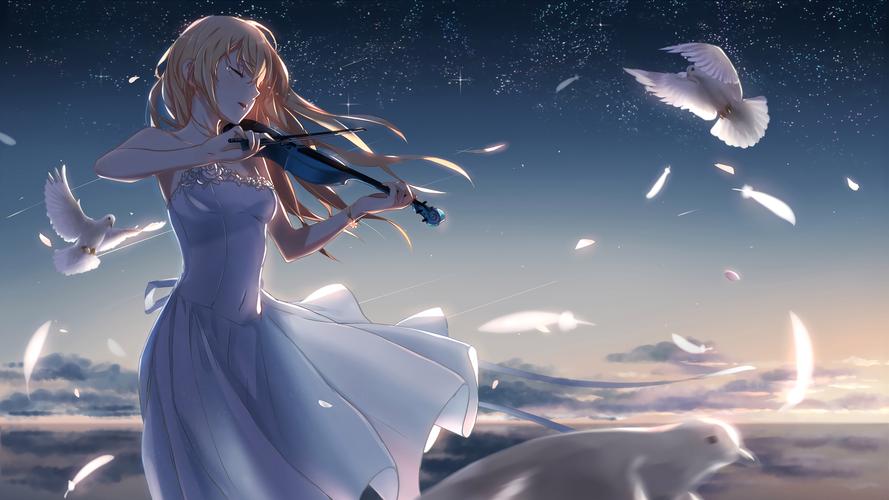 星空少女小提琴白鸽唯美动漫壁纸