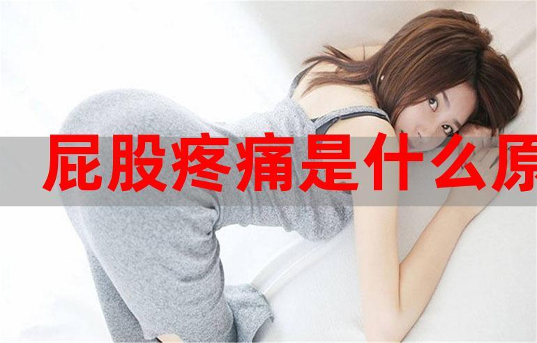 『屁股疼痛是什么原因』1024免费_流式中文网