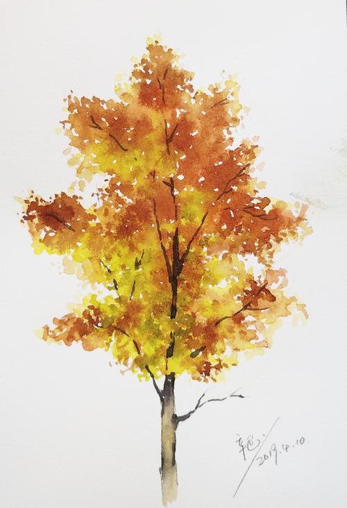 一组秋树|手绘水彩大树
