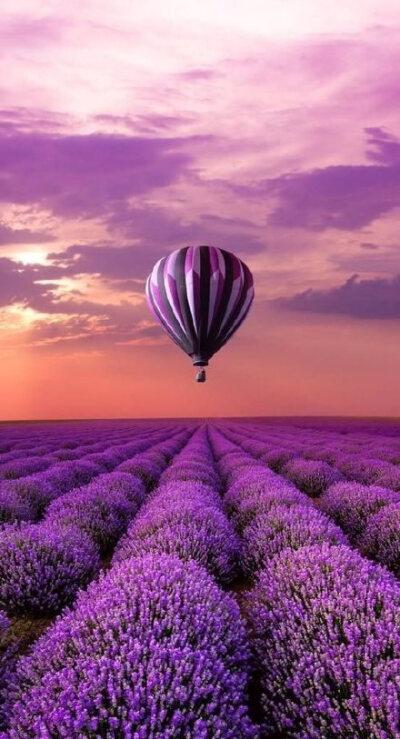 紫色热气球