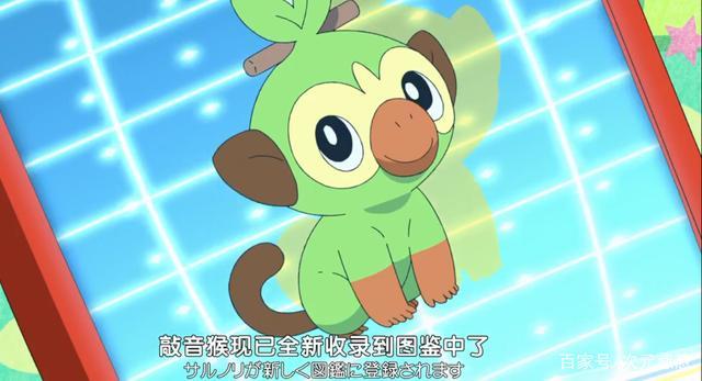 精灵宝可梦旅途59:真主角小豪强抢火箭队的敲音猴