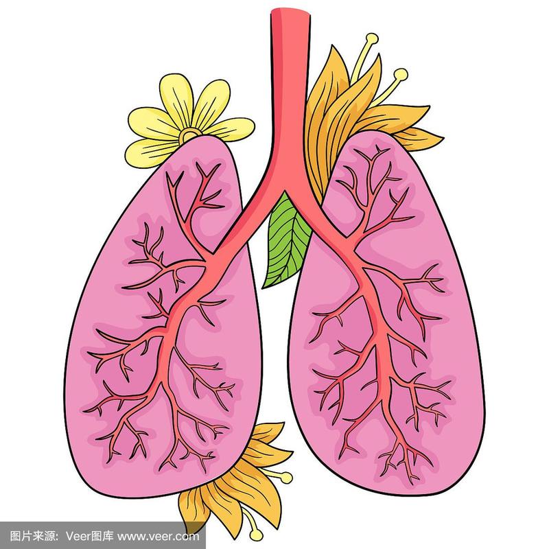 肺涂鸦画