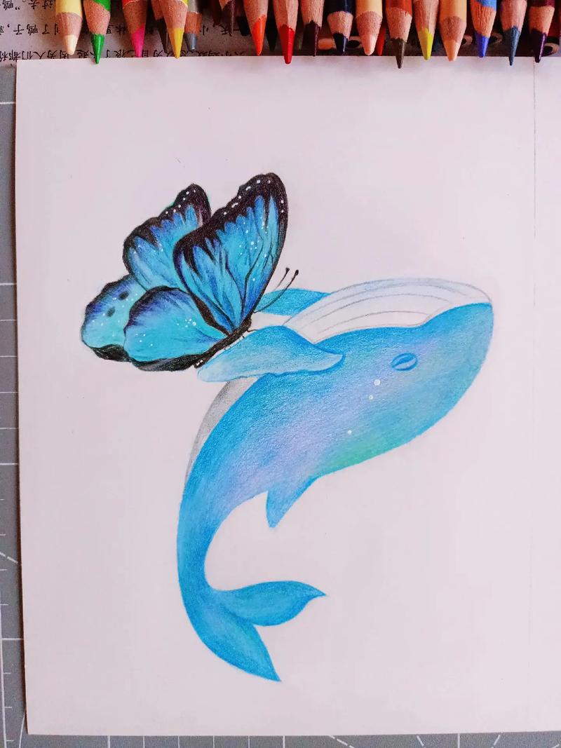 彩铅手绘蝴蝶与鲸鱼