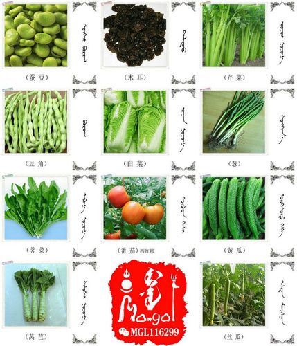 名词合集水果蔬菜粮食食材的名称81种蒙古文汉语