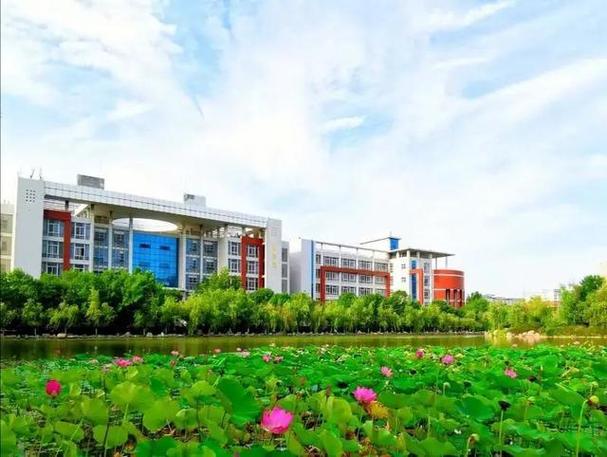 河南工学院2021年河南省本科专业录取分数统计