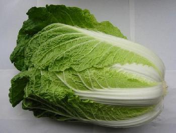 大白菜选购时主要是看大白菜的生长期,叶球颜色和菜心饱满程度.