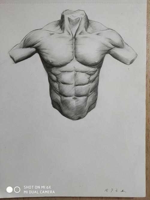 素描人体肌肉