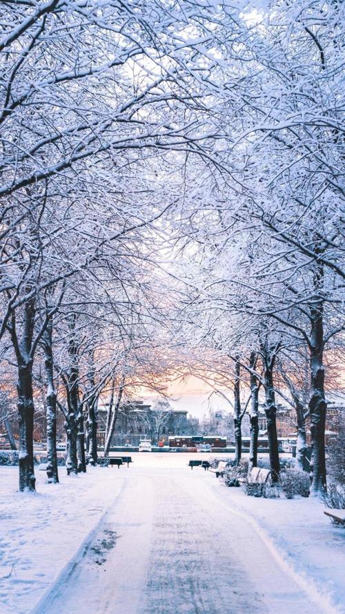 唯美迷人的冬天雪景风光