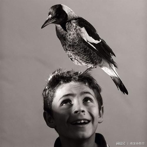 孤单自闭症小男孩和一只鸟的故事