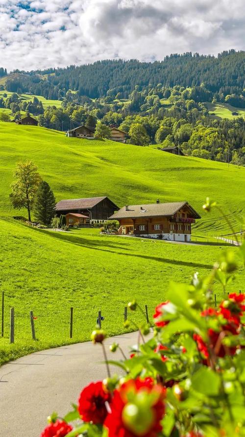 瑞士宁静之美小清新绿色手机壁纸 第一辑_风景_手机壁纸下载_美桌网