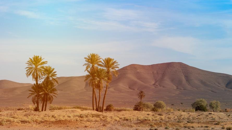 图片大全干涸辽阔的撒哈拉沙漠自然风景图片图片大全广漠无垠的撒哈拉