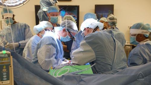 丁丁移植手术(包括蛋蛋等下体的大面积器官)关注研究不正常人类那些事