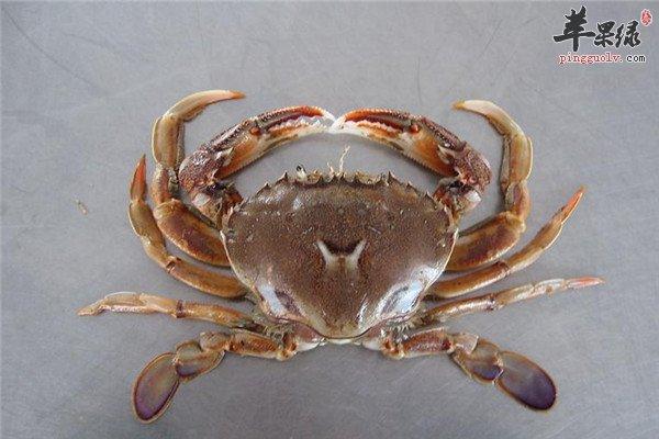 苹果绿 食材大全 营养价值河蟹是很常见的一种 螃蟹种类之一哦,它的
