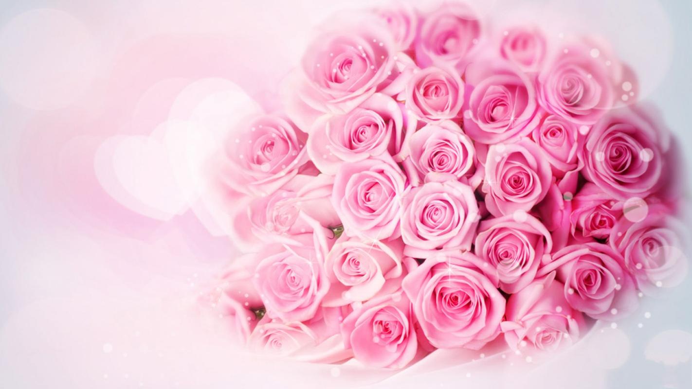 粉色玫瑰花宽屏高清电脑桌面壁纸大全