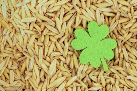 浅绿色三叶草象征圣帕特里克日种子小米复制空间照片