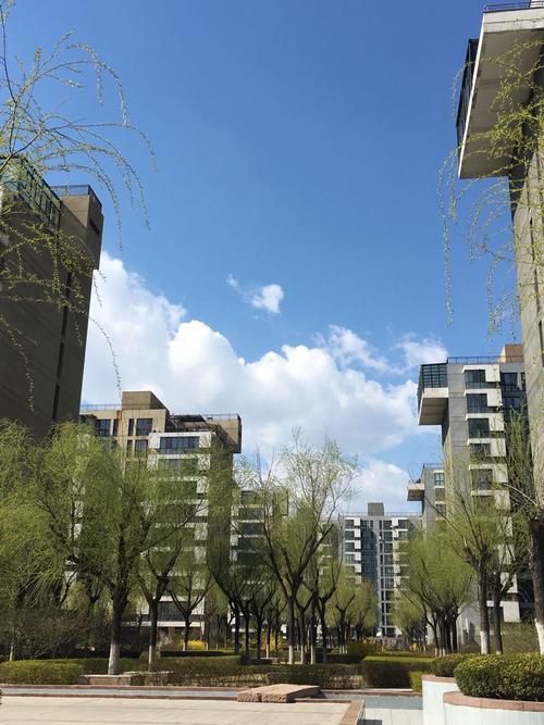 北京市大兴区亦庄经济技术开发区荣京西街天气预报