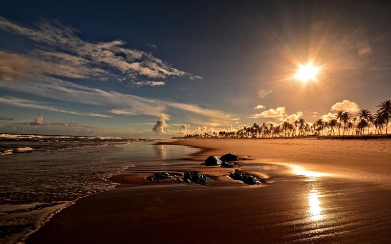 首页 自然和风景 日落和日出 日落,海岸,沙滩,棕榈树,巴西巴伊亚 壁纸