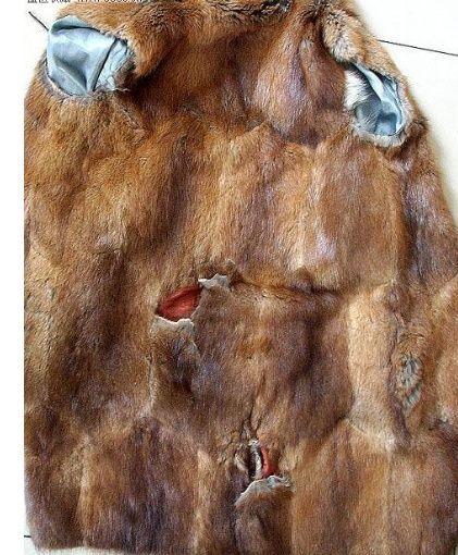 为何从古至今的有钱人冬天都爱穿貂皮大衣?