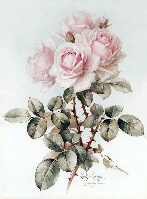 pauldelongpre笔下花卉19世纪欧洲法国水彩画浪漫经典之作