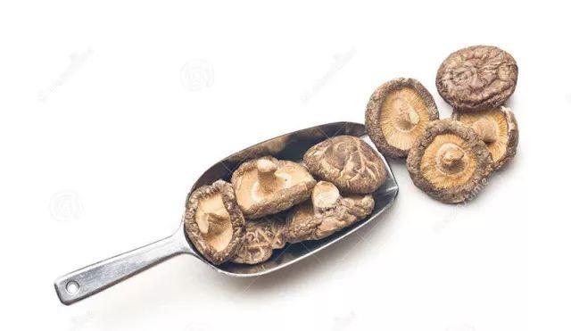 打锅必备 | 冬季养生话蘑菇 营养科专家来教你辨好坏