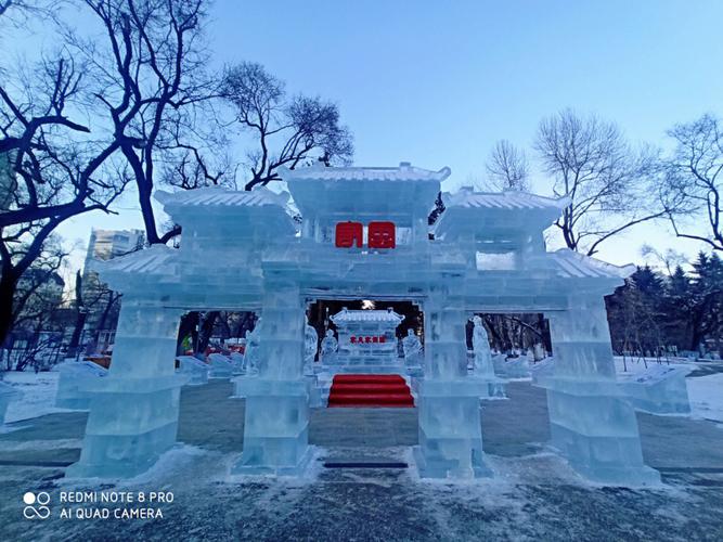 哈尔滨冰雕 #哈尔滨 #哈尔滨冰灯  哈尔滨冰灯发祥地!