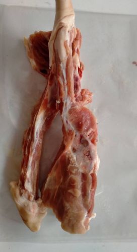 新鲜猪尾骨精品猪尾骨带尾巴骨大骨熬汤食材 三斤多肉猪尾骨