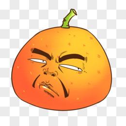 一脸嫌弃的大橘子