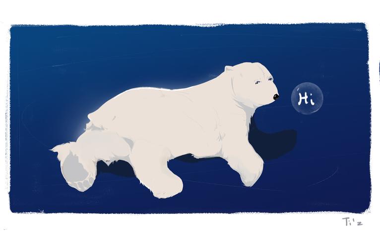 北极熊|插画|创作习作|阿碟 - 原创作品 - 站酷 (zcool)