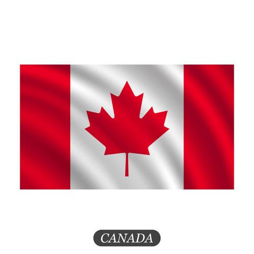 飘扬的加拿大国旗简笔画