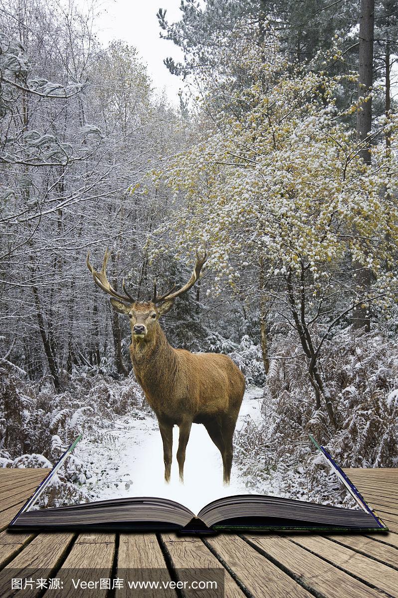 美丽的马鹿鹿在冰雪覆盖的节日季节冬季森林景观概念出现在书页打开书
