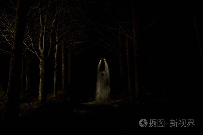 黑暗森林中的幽灵