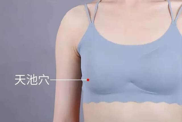 内衣周刊爱戴经络调理你知道乳房上有多少个重要穴位吗