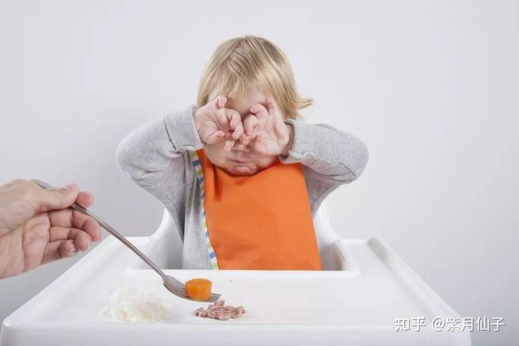 宝宝吃饭时难以下咽并非饭菜不合口和这几个原因有关