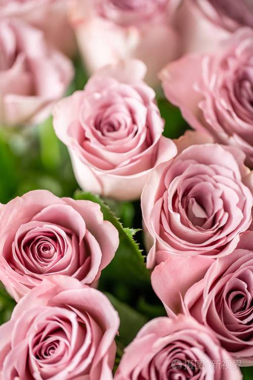 玻璃花瓶里的粉红色玫瑰.束柔和的颜色.花店里花店的概念.壁纸
